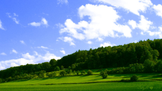 646007 (a): :1920x1080
